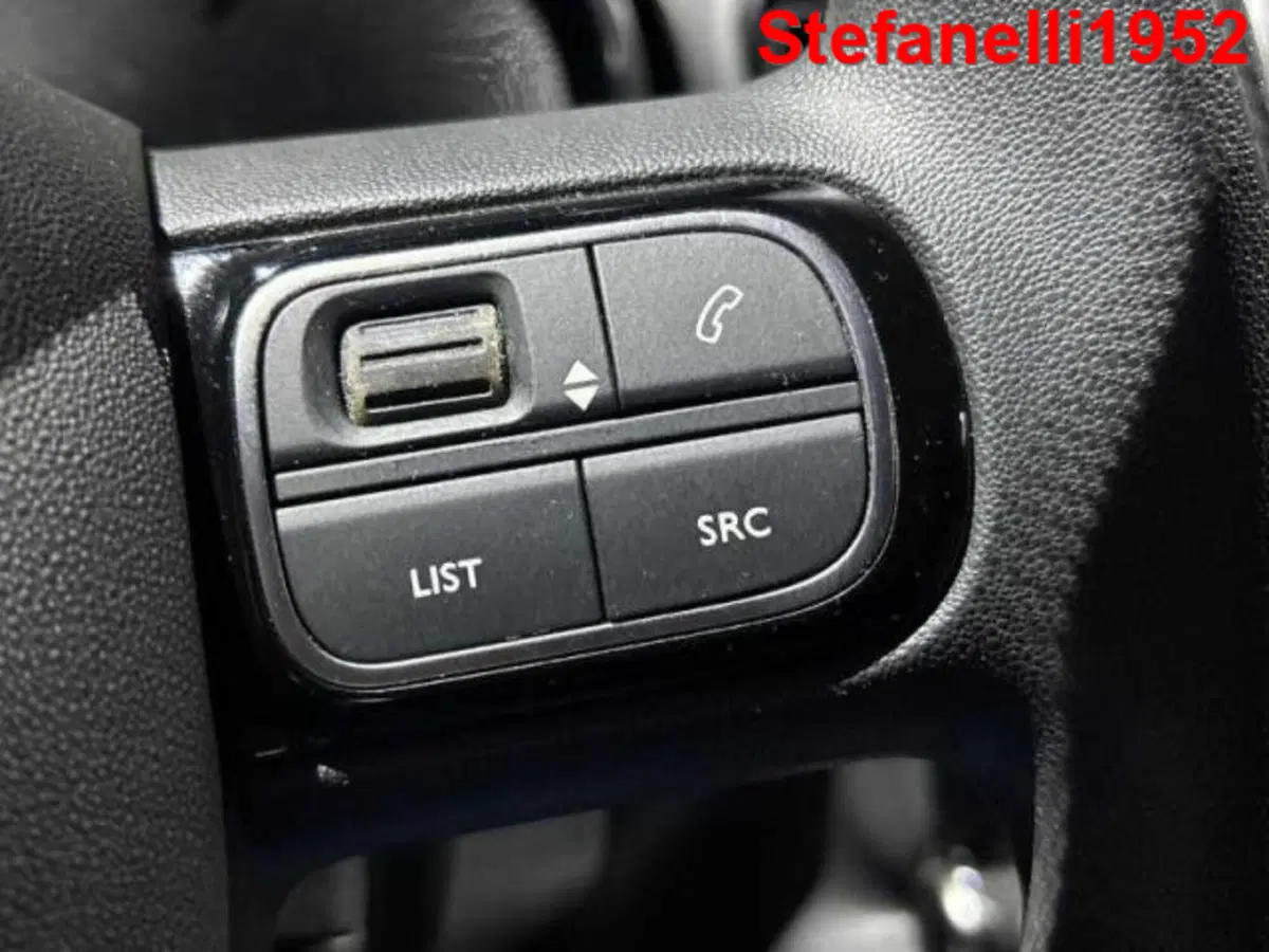 Citroen C3 usata a Bologna (19)
