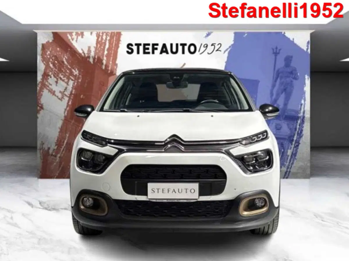 Citroen C3 usata a Bologna (2)