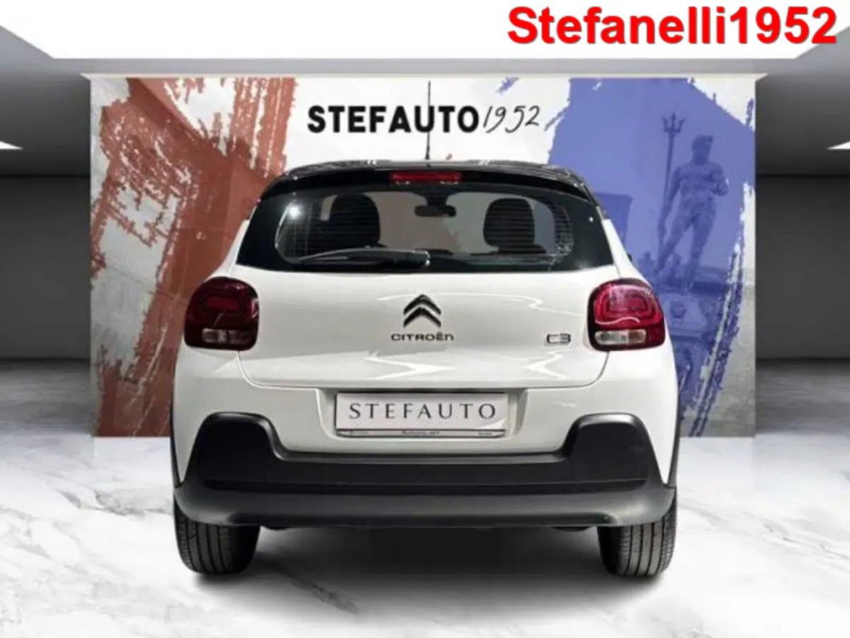 Citroen C3 usata a Bologna (6)