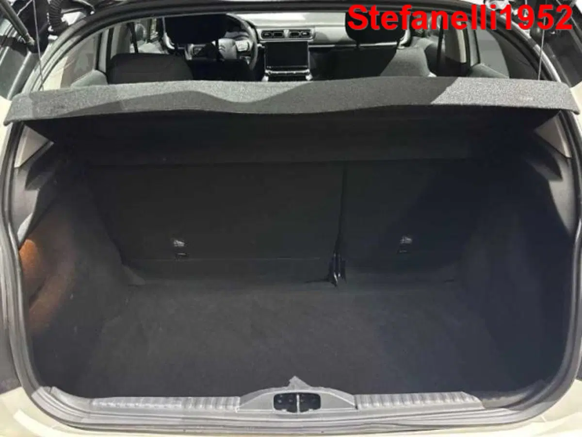 Citroen C3 usata a Bologna (7)