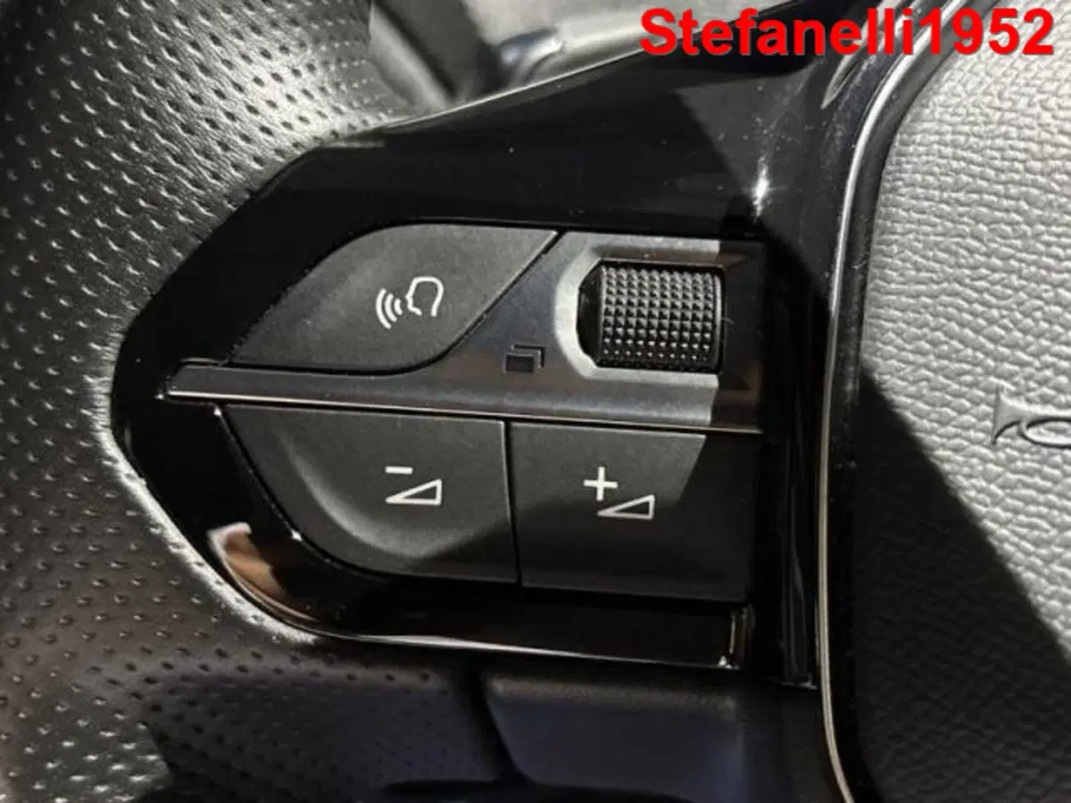 Peugeot 3008 usata a Bologna (20)
