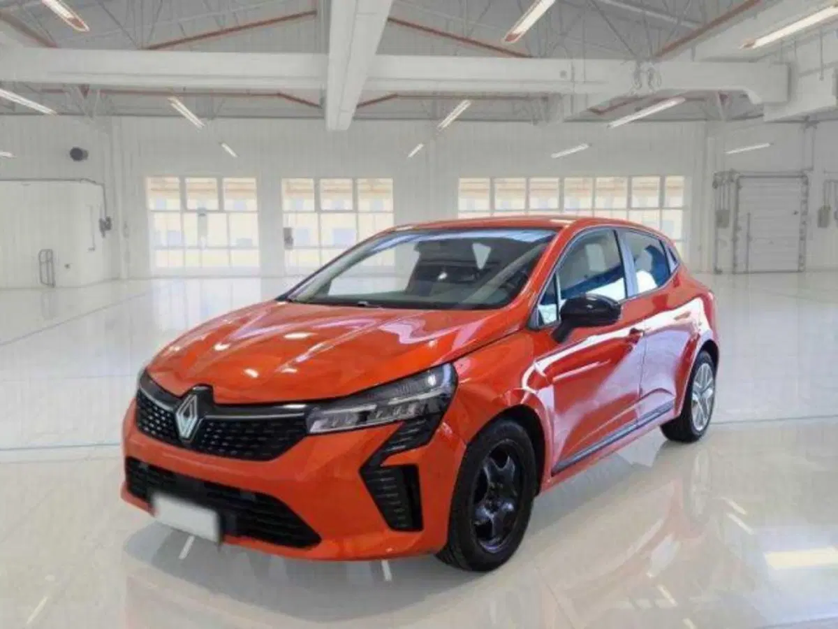 Renault Clio usata a Bologna