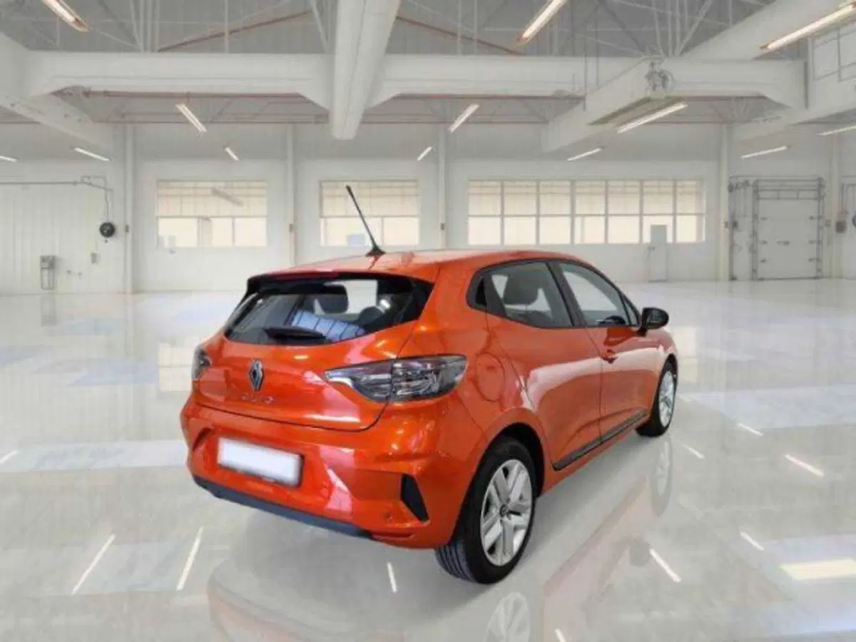 Renault Clio usata a Bologna (2)