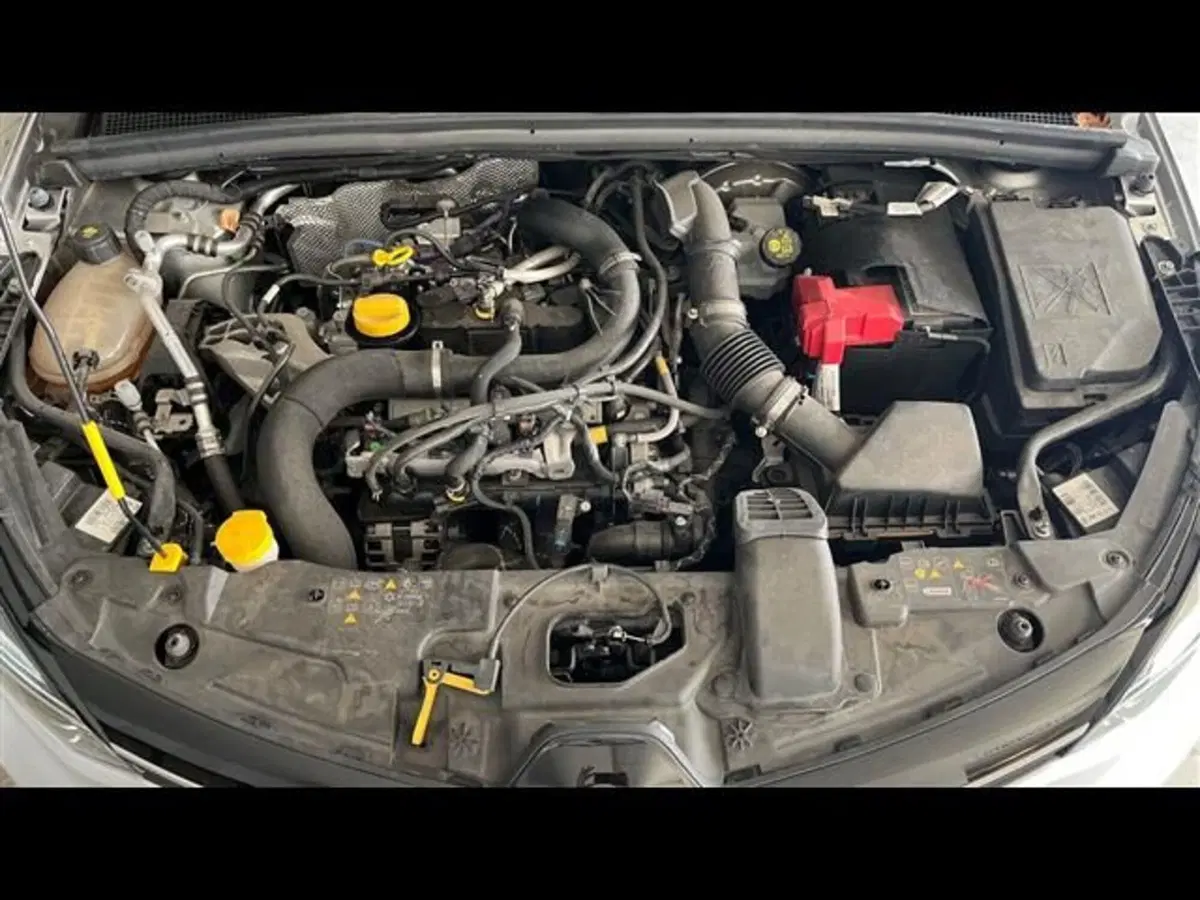 Renault Clio usata a Firenze (14)