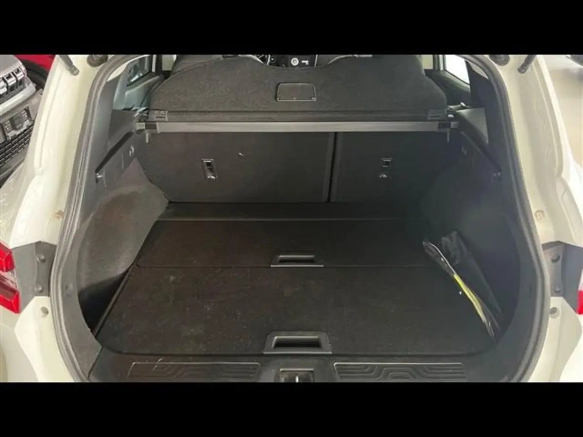 Renault Kadjar usata a Firenze (5)