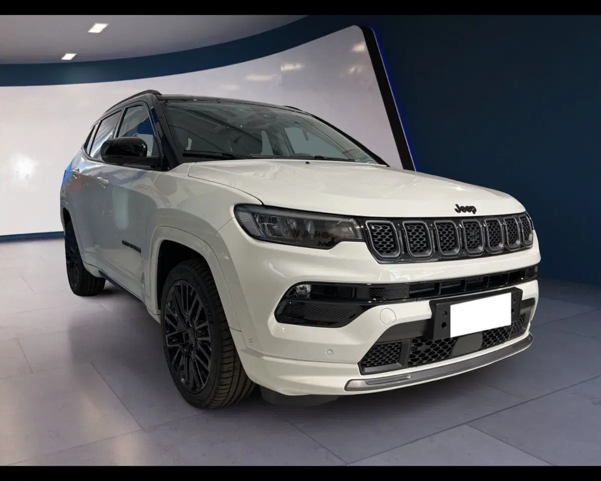 Jeep Compass usata a Torino (2)