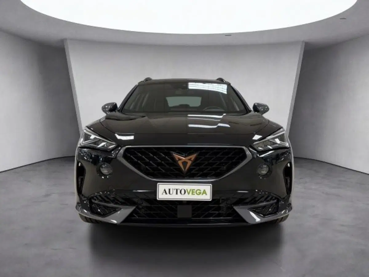 Cupra Formentor usata a Vicenza (2)