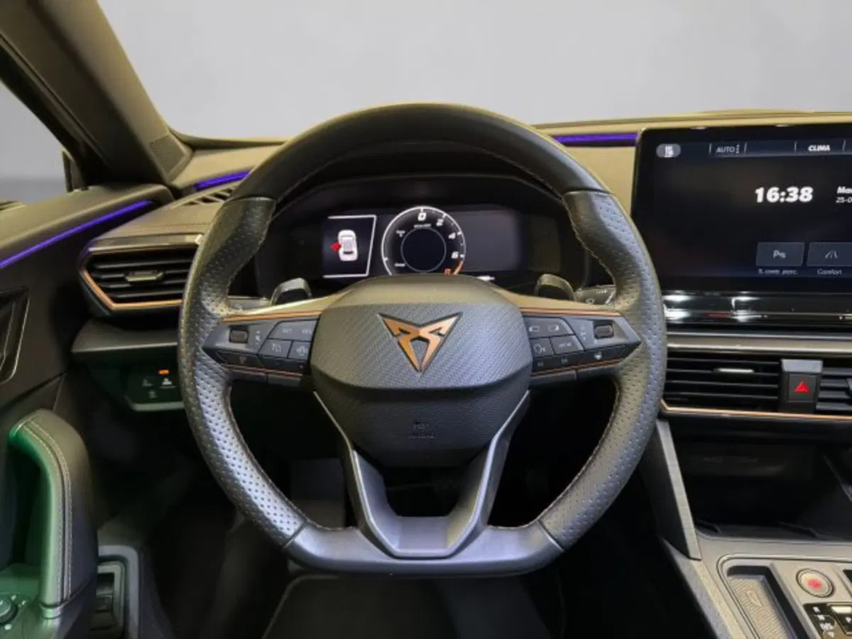 Cupra Formentor usata a Vicenza (9)