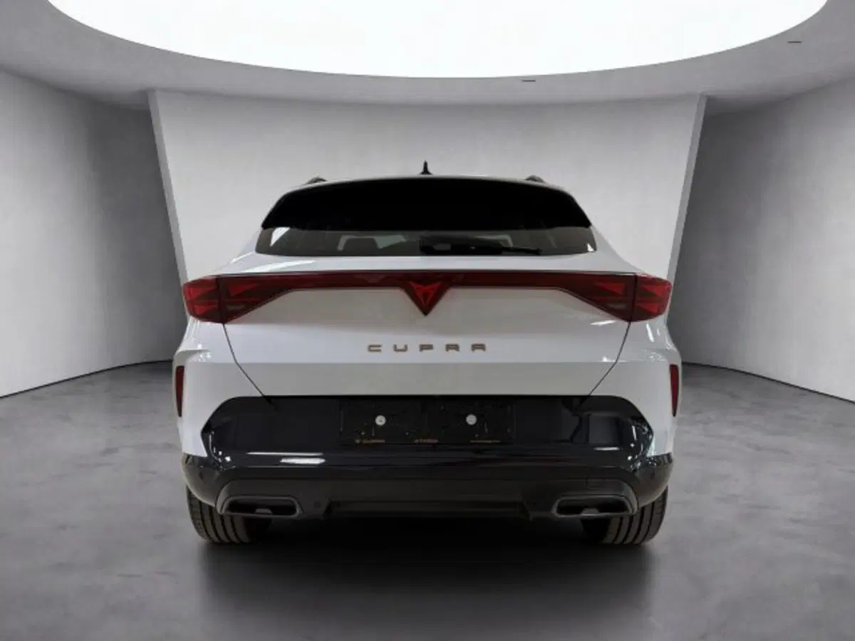 Cupra Formentor usata a Vicenza (5)