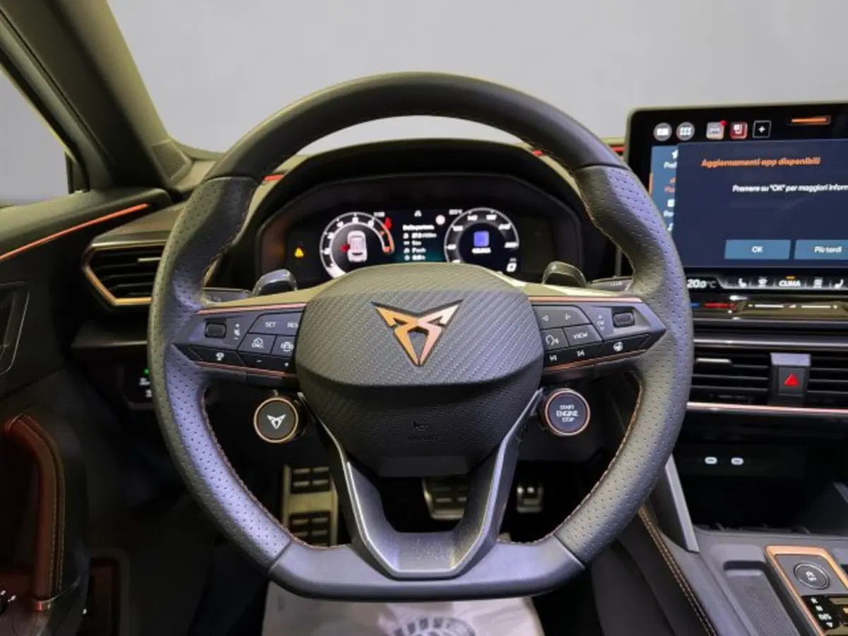 Cupra Formentor usata a Vicenza (9)
