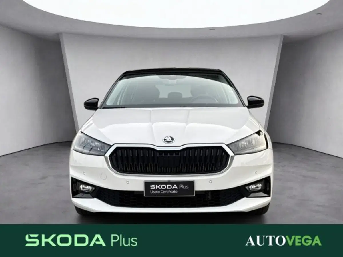 Skoda Fabia usata a Vicenza (2)