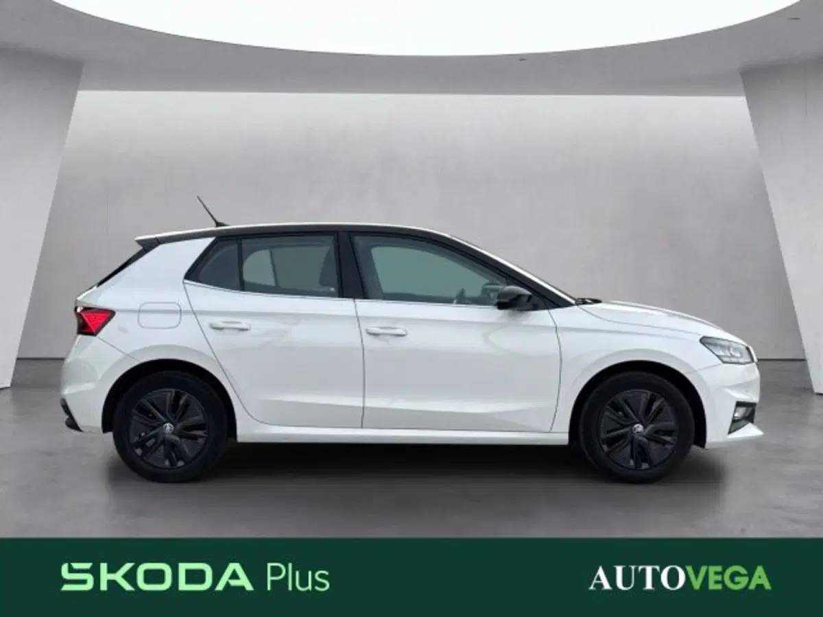Skoda Fabia usata a Vicenza (3)