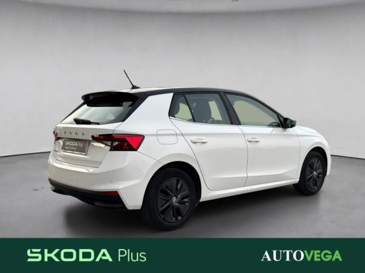 Skoda Fabia usata a Vicenza (4)
