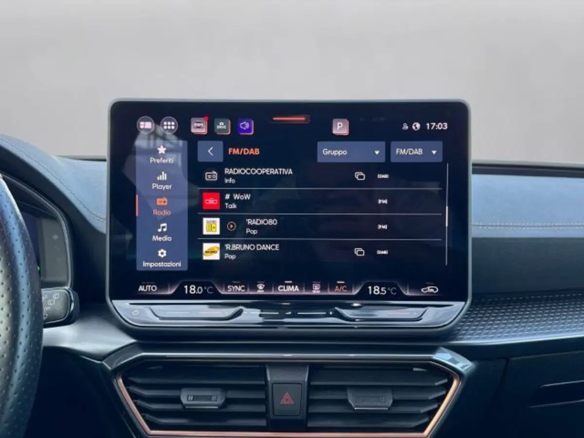 Cupra Leon usata a Vicenza (10)