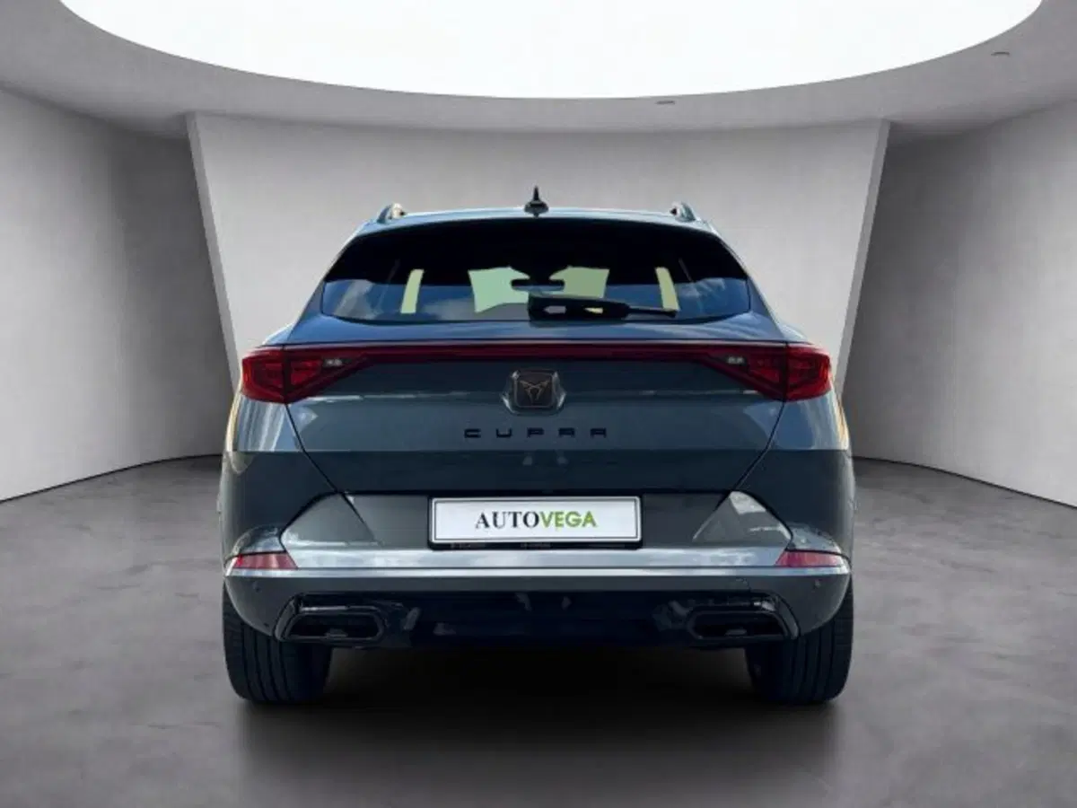 Cupra Formentor usata a Vicenza (5)