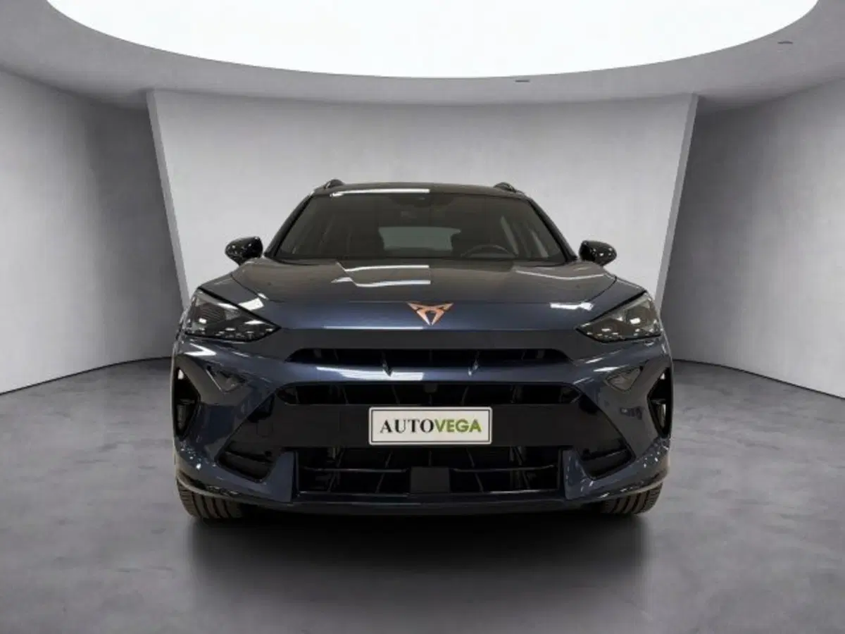 Cupra Formentor usata a Vicenza (2)