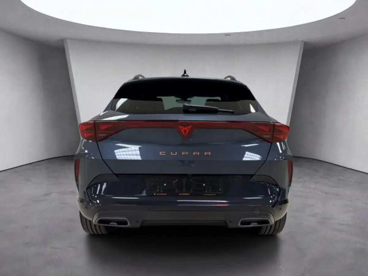 Cupra Formentor usata a Vicenza (5)