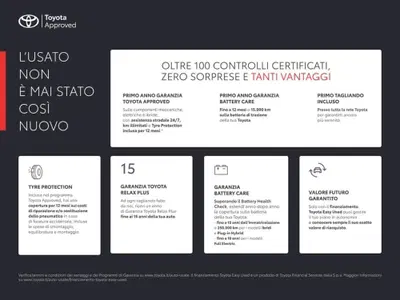 Ford Galaxy 2.0 EcoBlue 150 CV Start&Stop Aut. Titanium Business del 2019 usata a Catanzaro