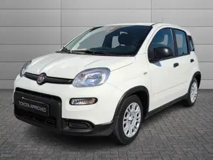 Fiat Pandina usata a Catanzaro