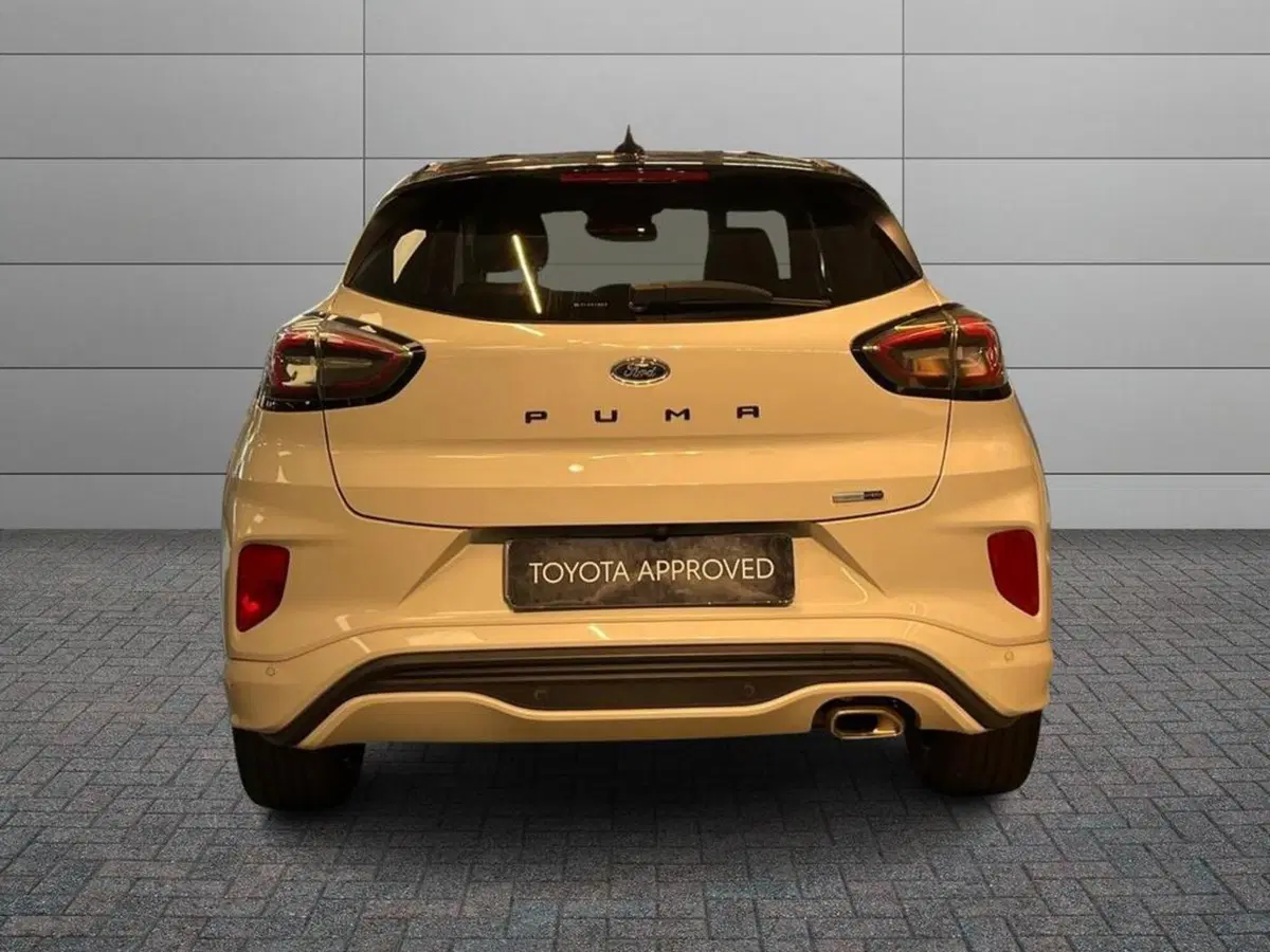 Ford Puma usata a Catanzaro (10)