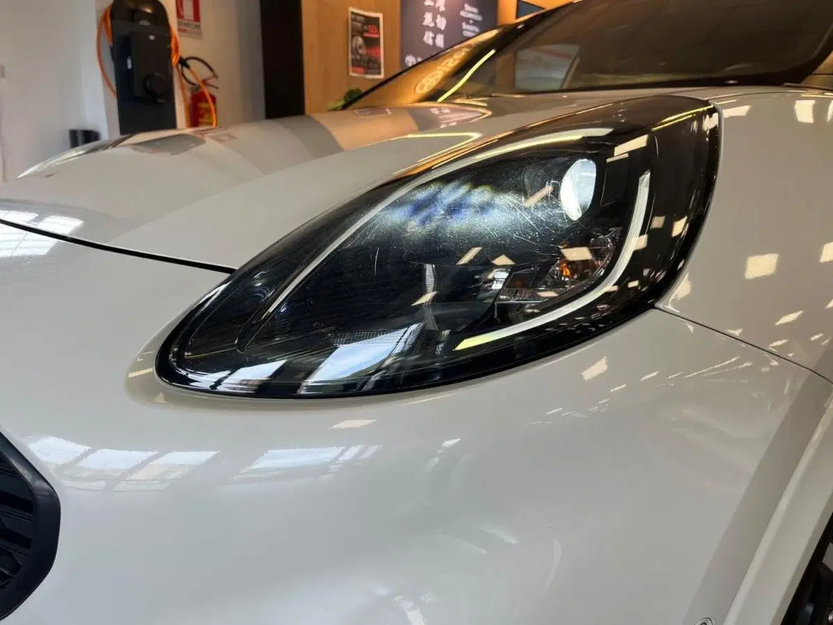 Ford Puma usata a Catanzaro (12)