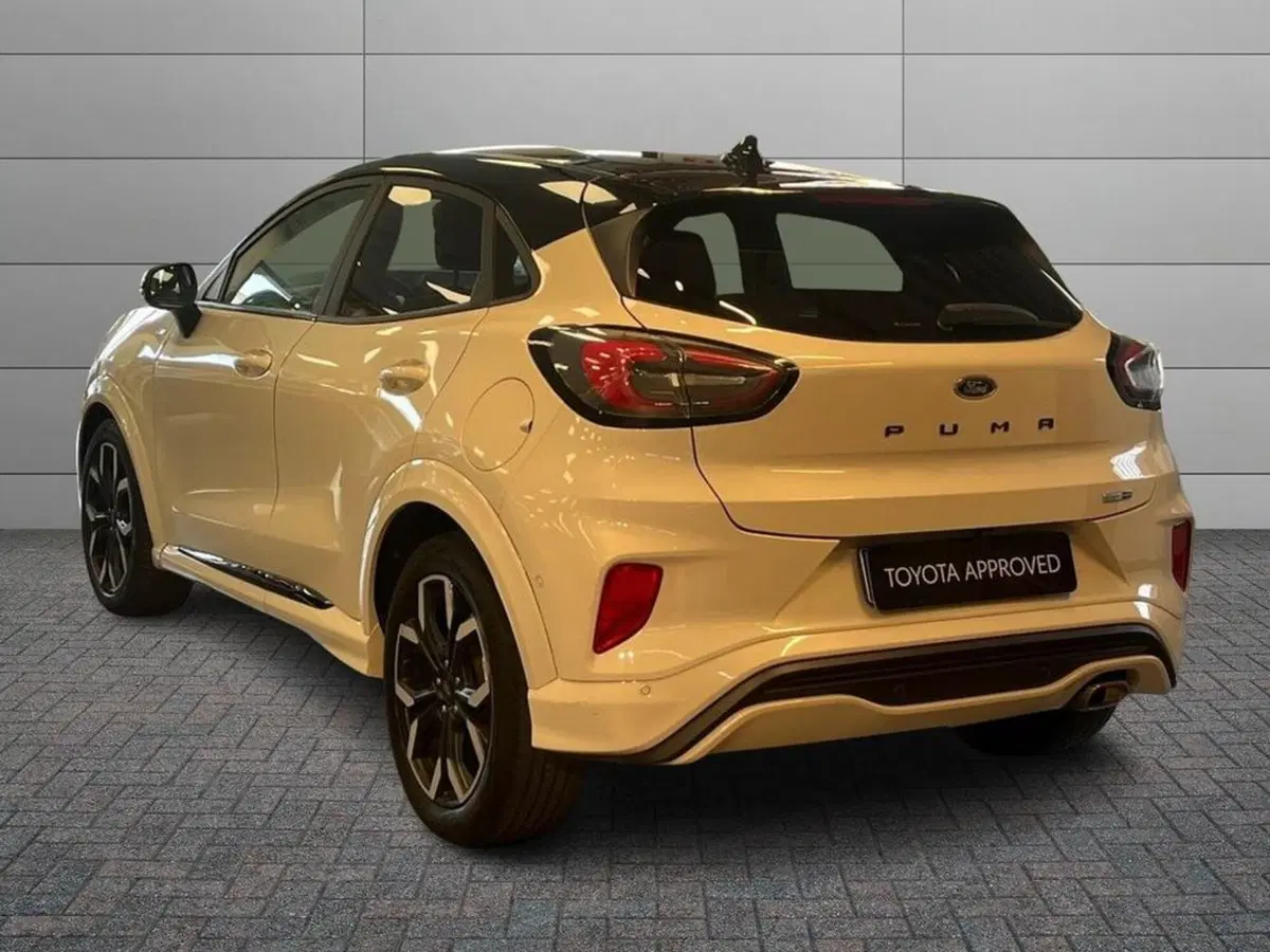 Ford Puma usata a Catanzaro (4)