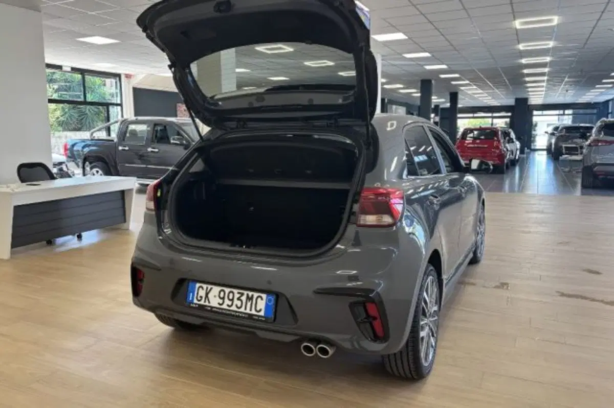 Kia Rio usata a Latina (7)