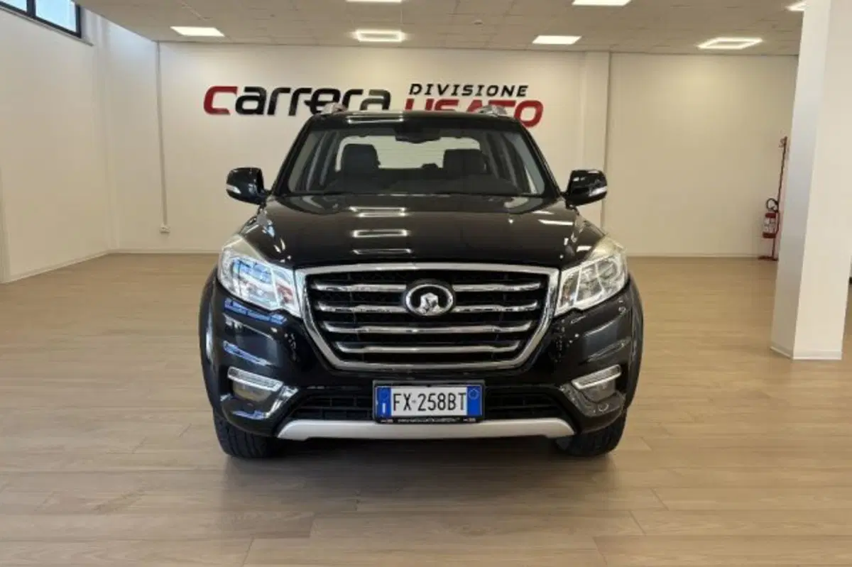Great Wall Steed Pick-up usata a Latina (2)