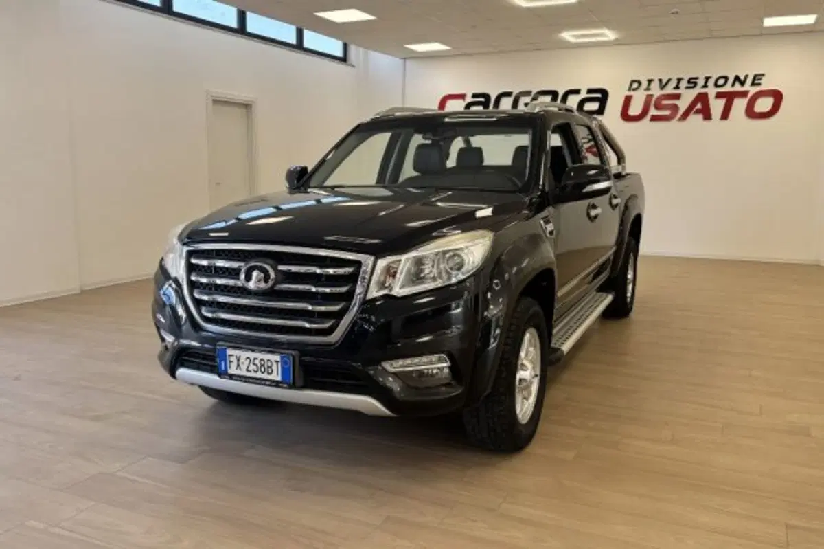 Great Wall Steed Pick-up usata a Latina (3)