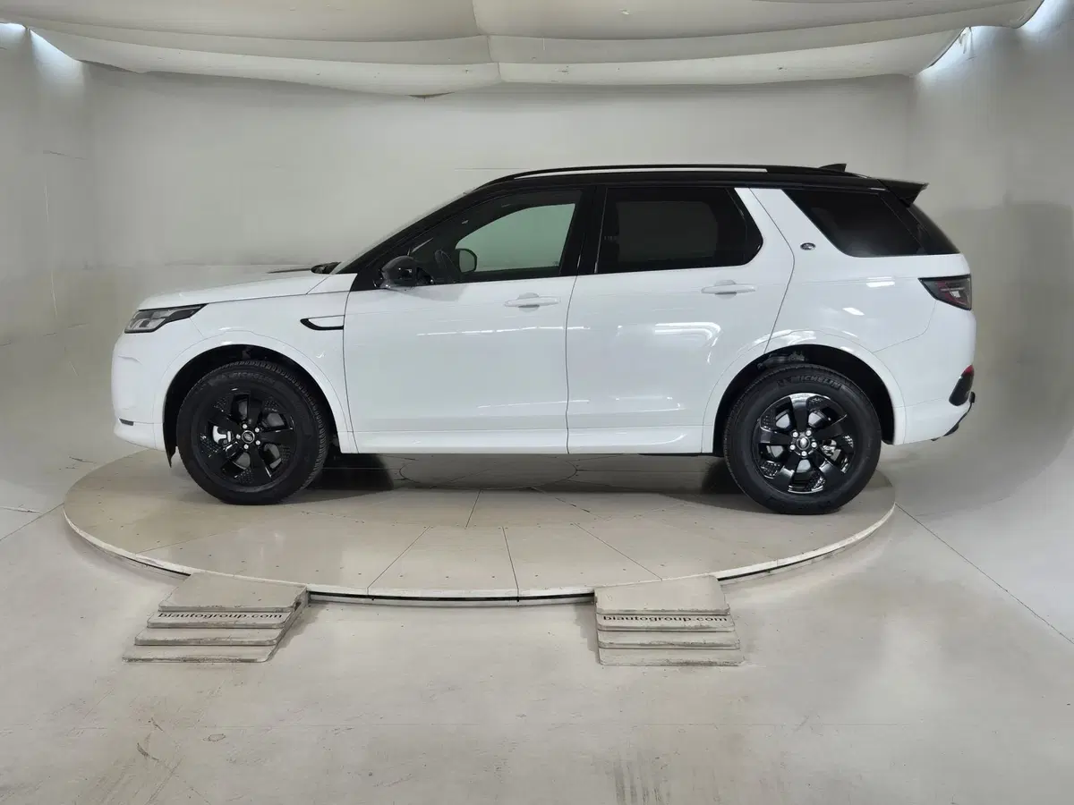 Land Rover Discovery Sport usata a Torino (6)