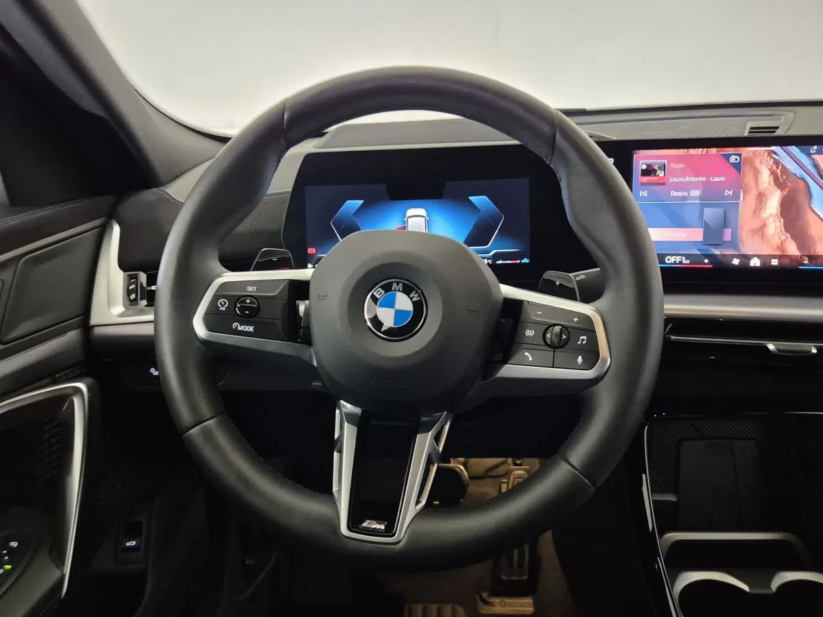 BMW X2 usata a Torino (10)