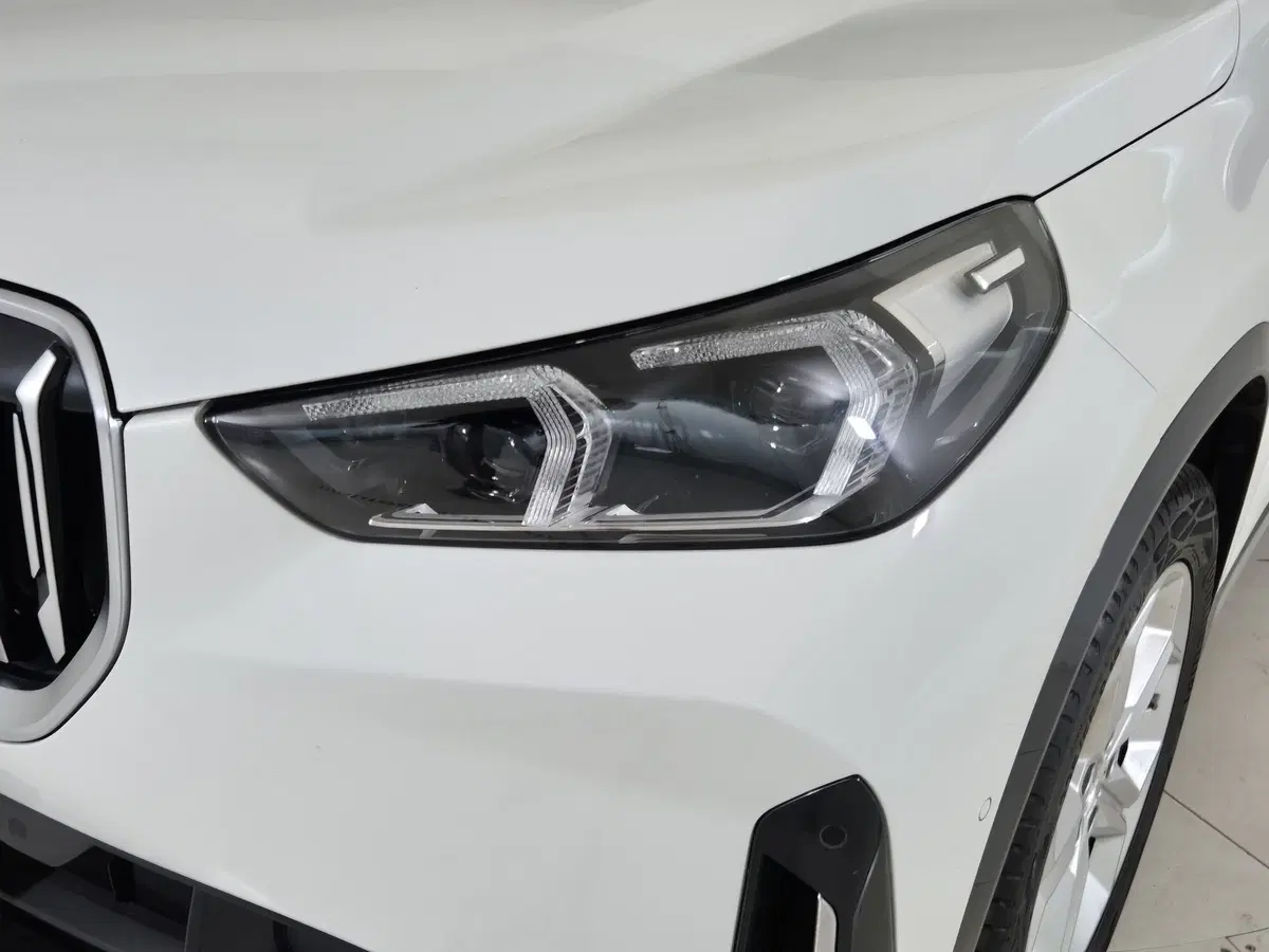 BMW X1 usata a Torino (20)