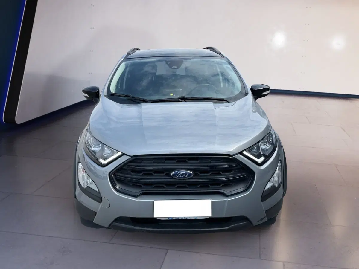 Ford EcoSport usata a Torino