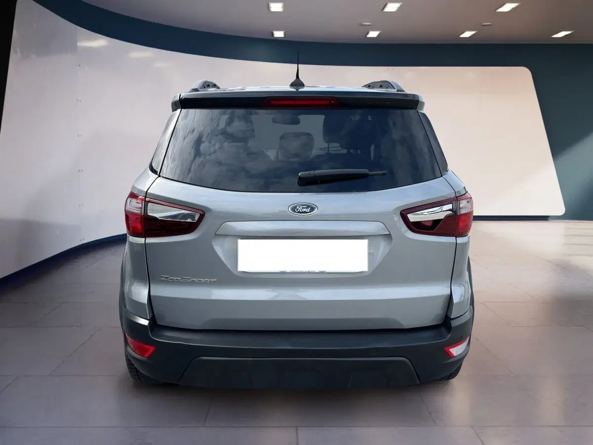 Ford EcoSport usata a Torino (4)