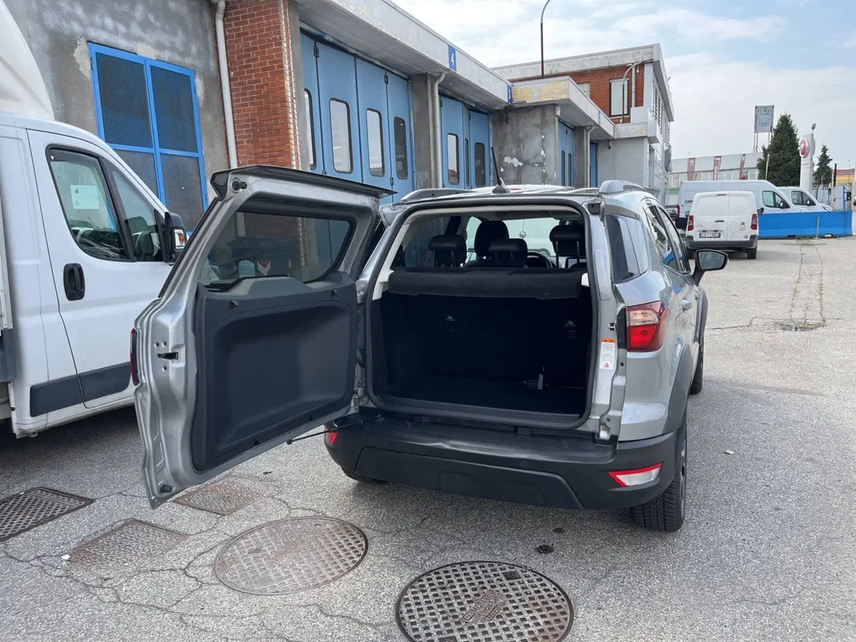 Ford EcoSport usata a Torino (7)