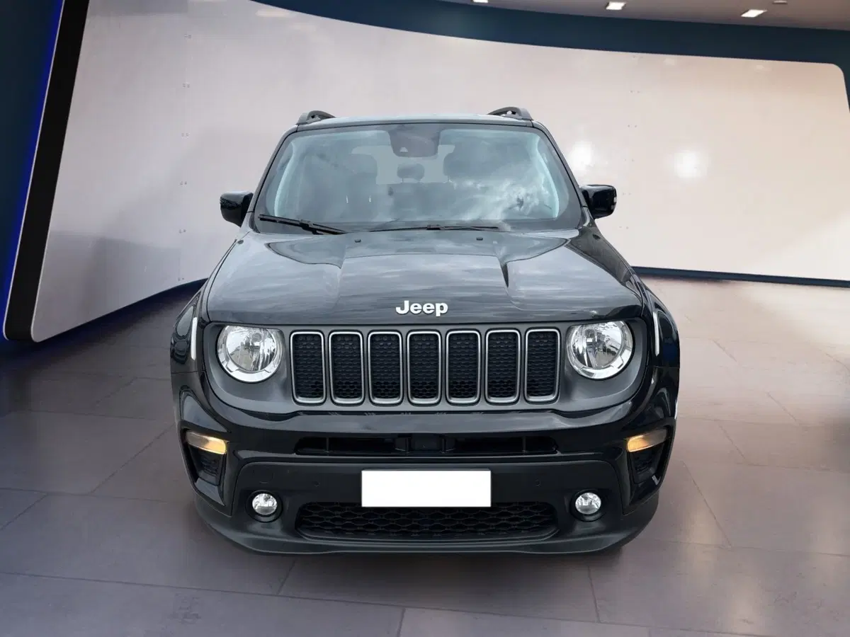 Jeep Renegade usata a Torino