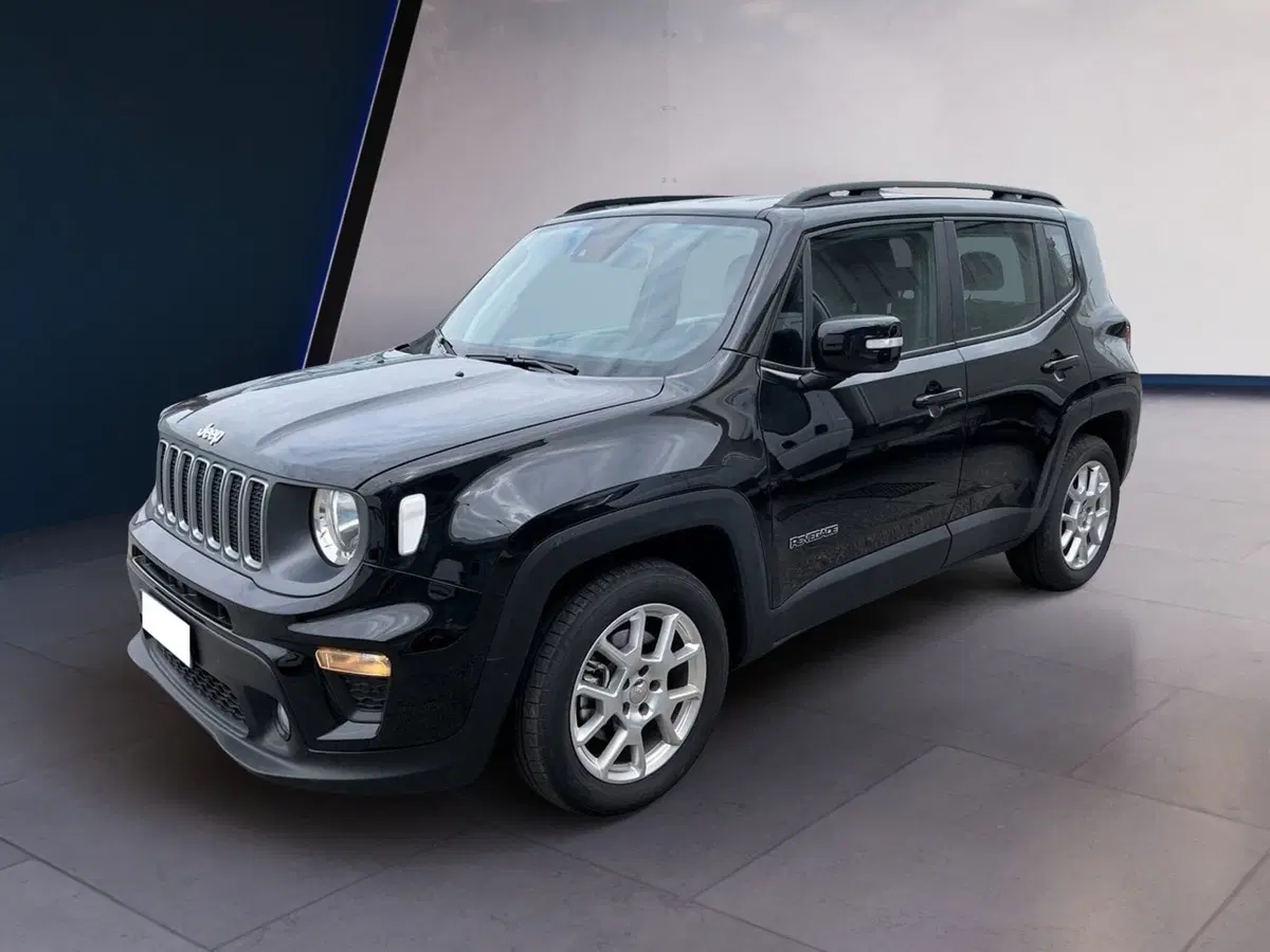 Jeep Renegade usata a Torino (2)
