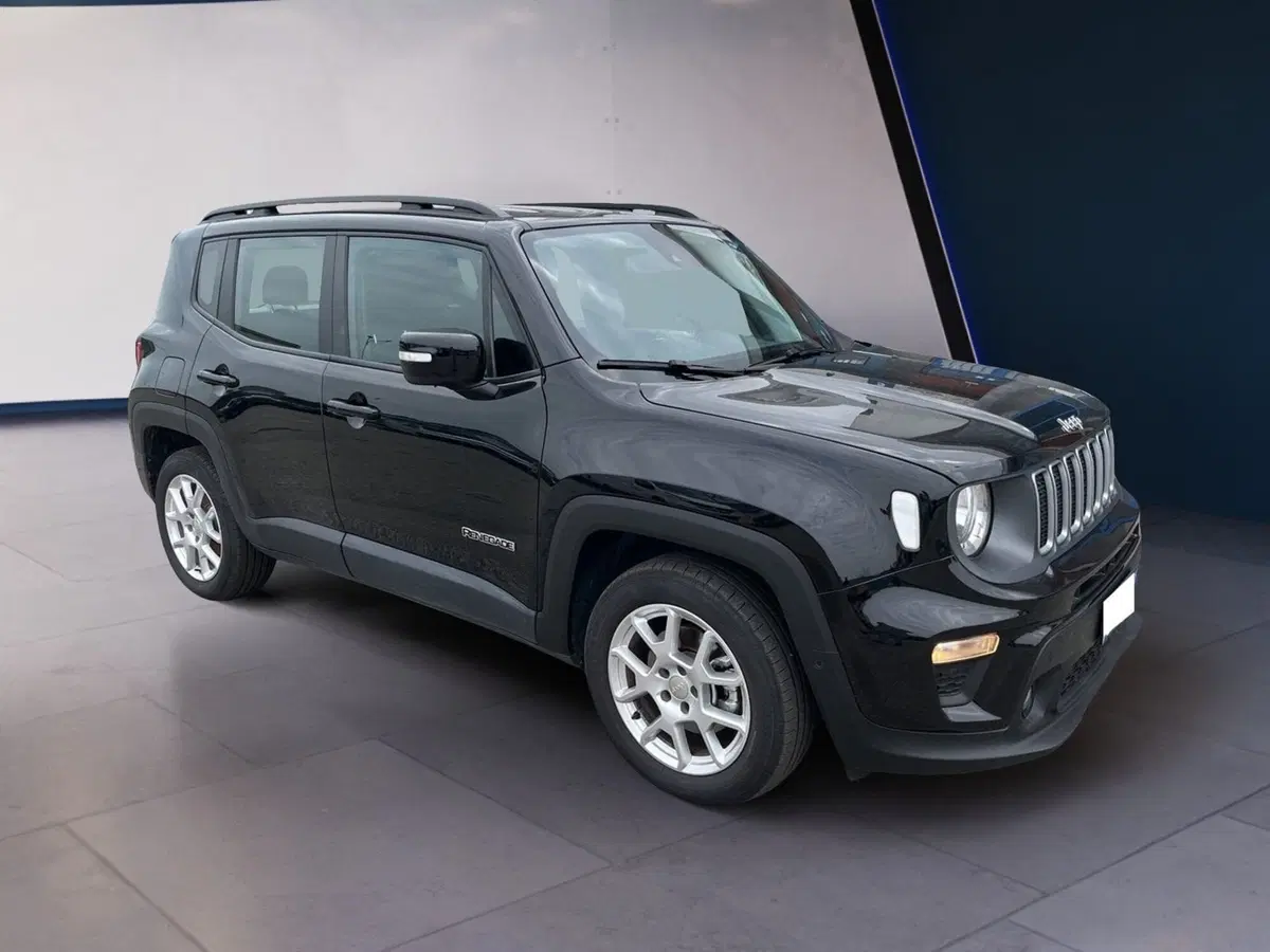 Jeep Renegade usata a Torino (3)