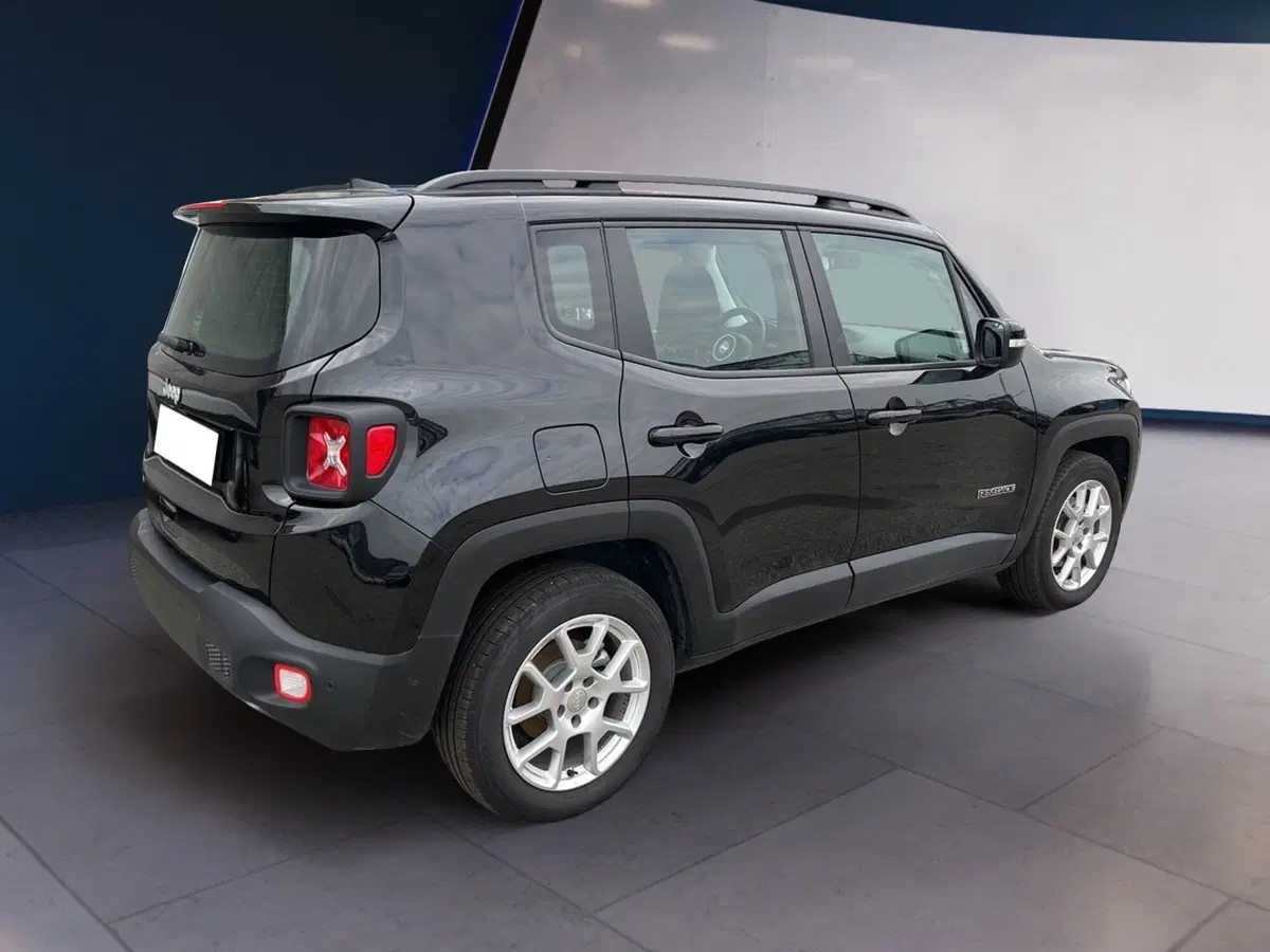 Jeep Renegade usata a Torino (4)
