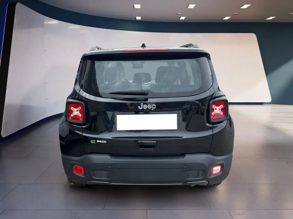 Jeep Renegade usata a Torino (5)