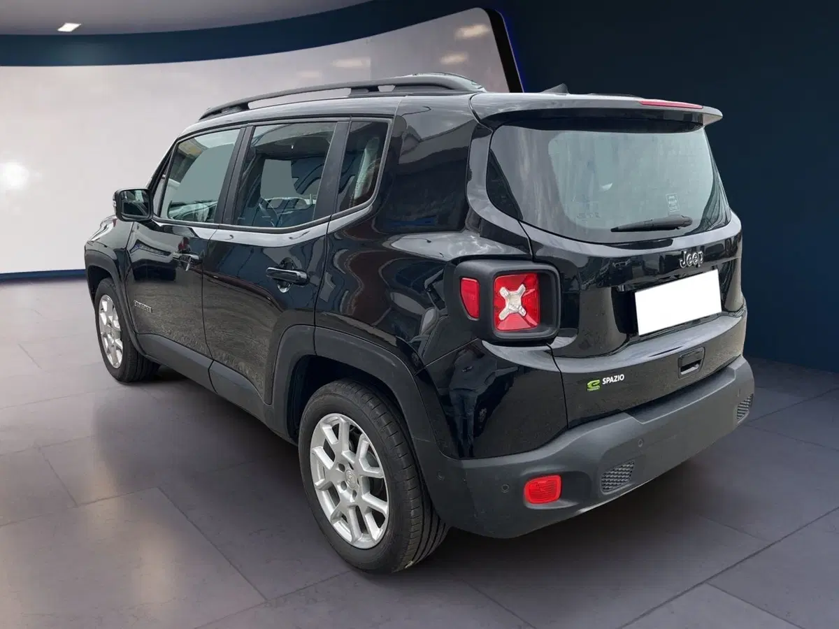 Jeep Renegade usata a Torino (6)