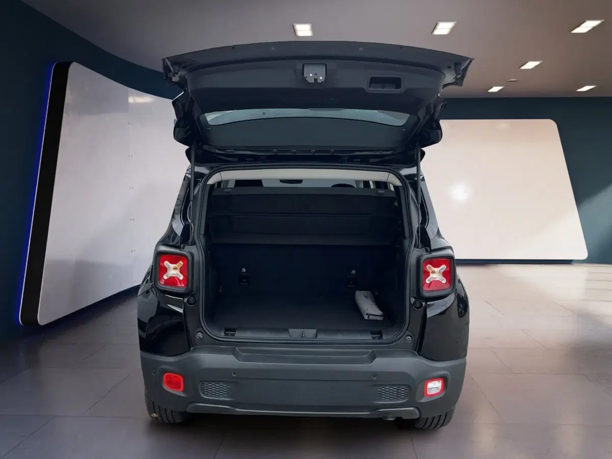 Jeep Renegade usata a Torino (7)
