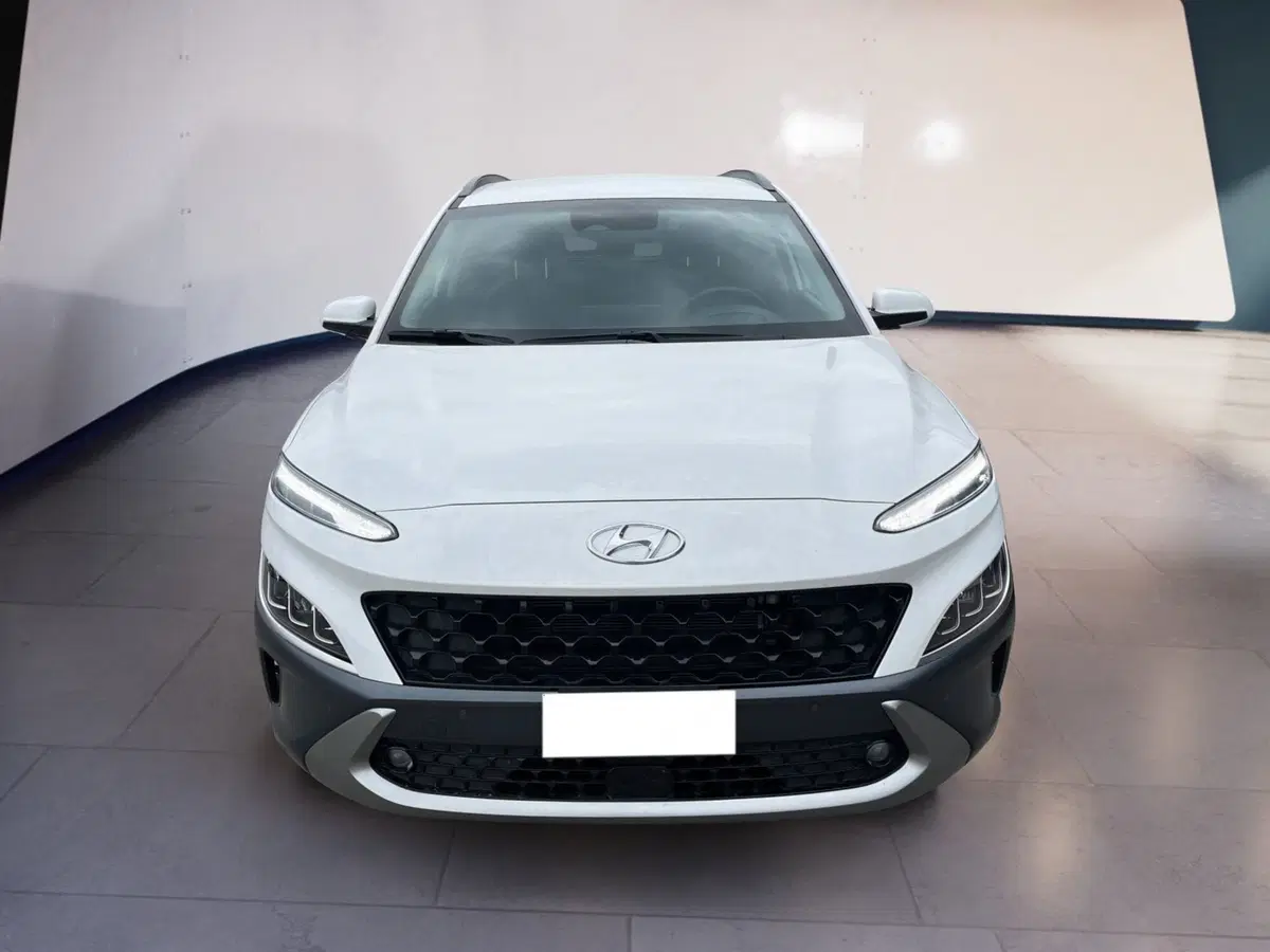 Hyundai Kona usata a Torino