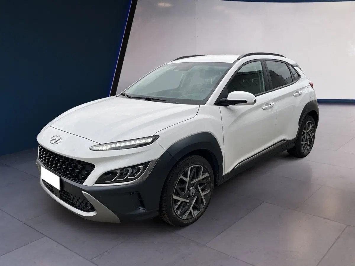 Hyundai Kona usata a Torino (2)