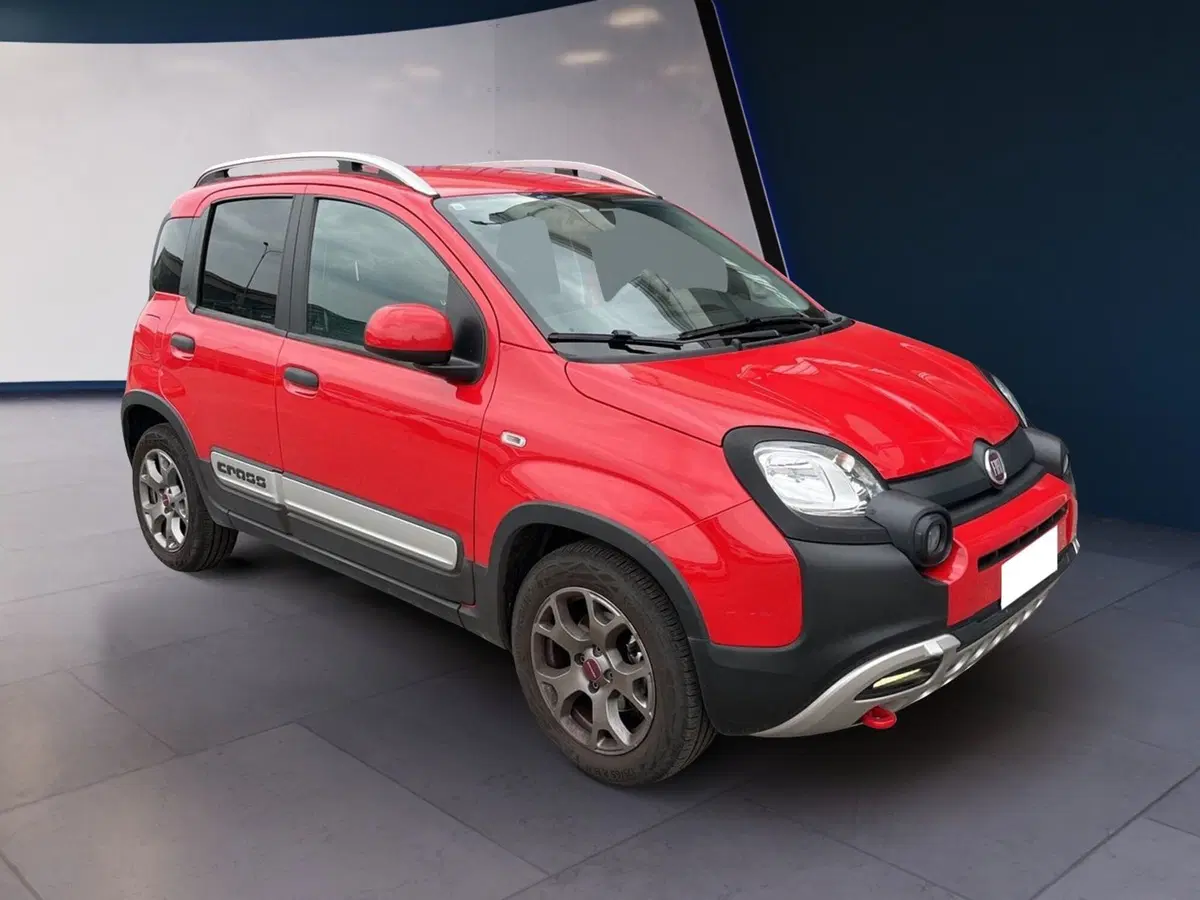 Fiat Panda usata a Torino (2)