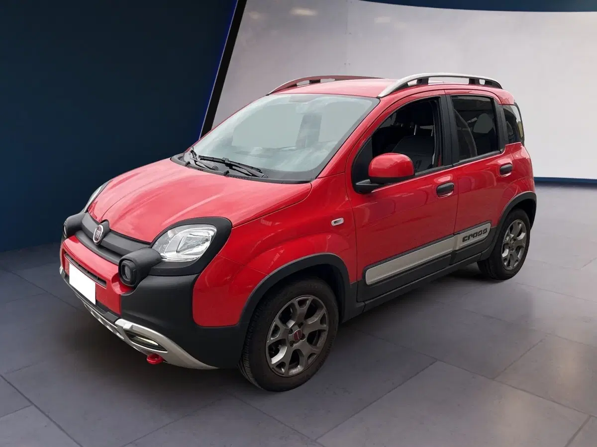 Fiat Panda usata a Torino (3)