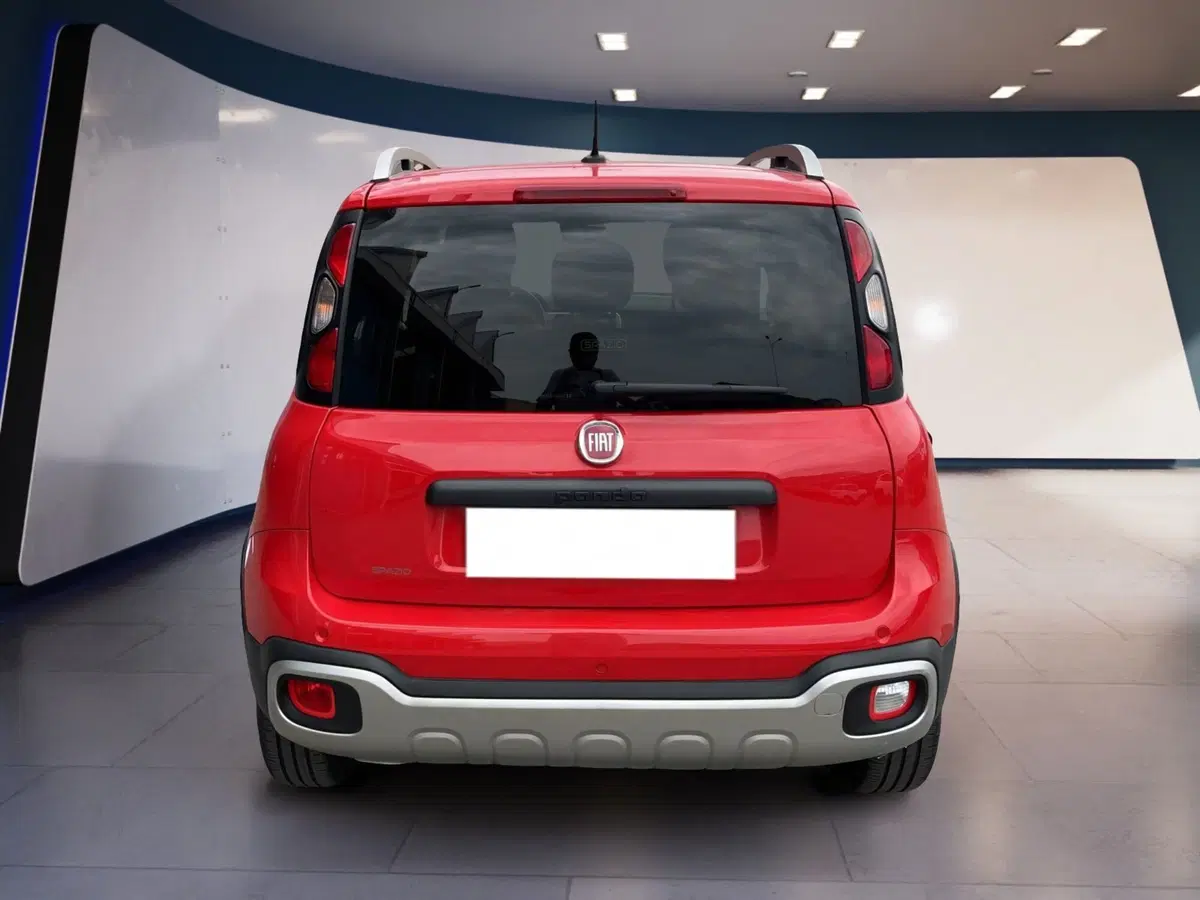 Fiat Panda usata a Torino (5)