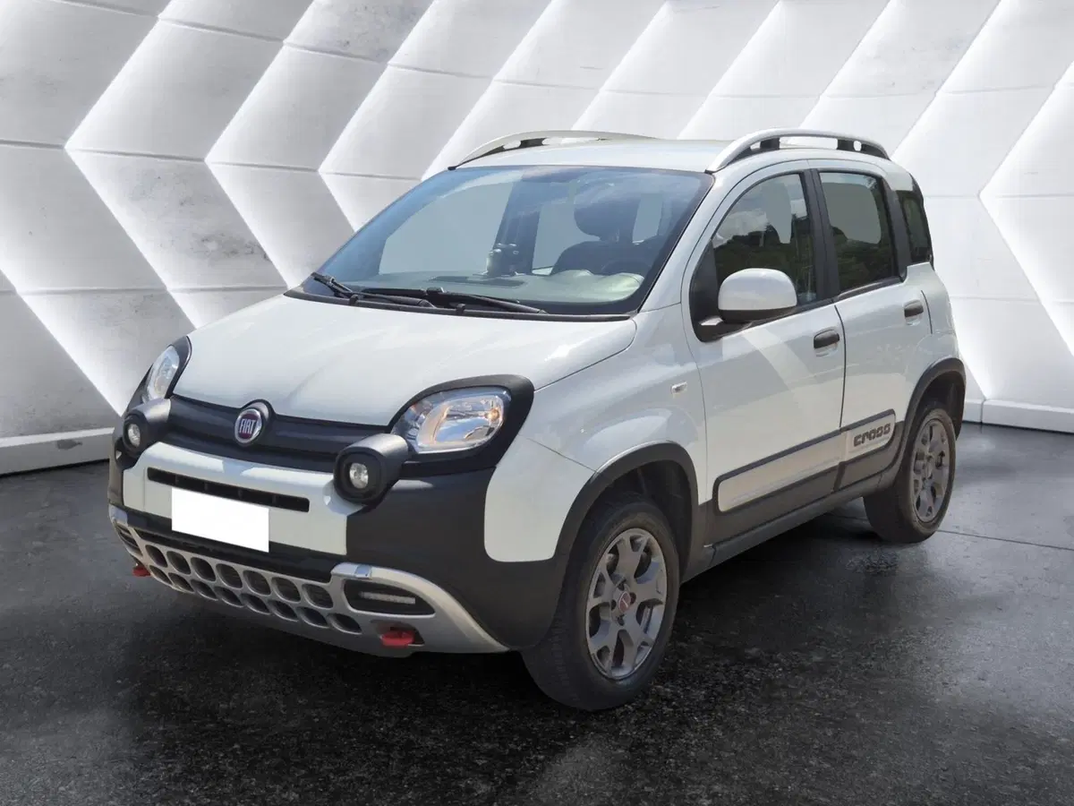 Fiat Panda usata 