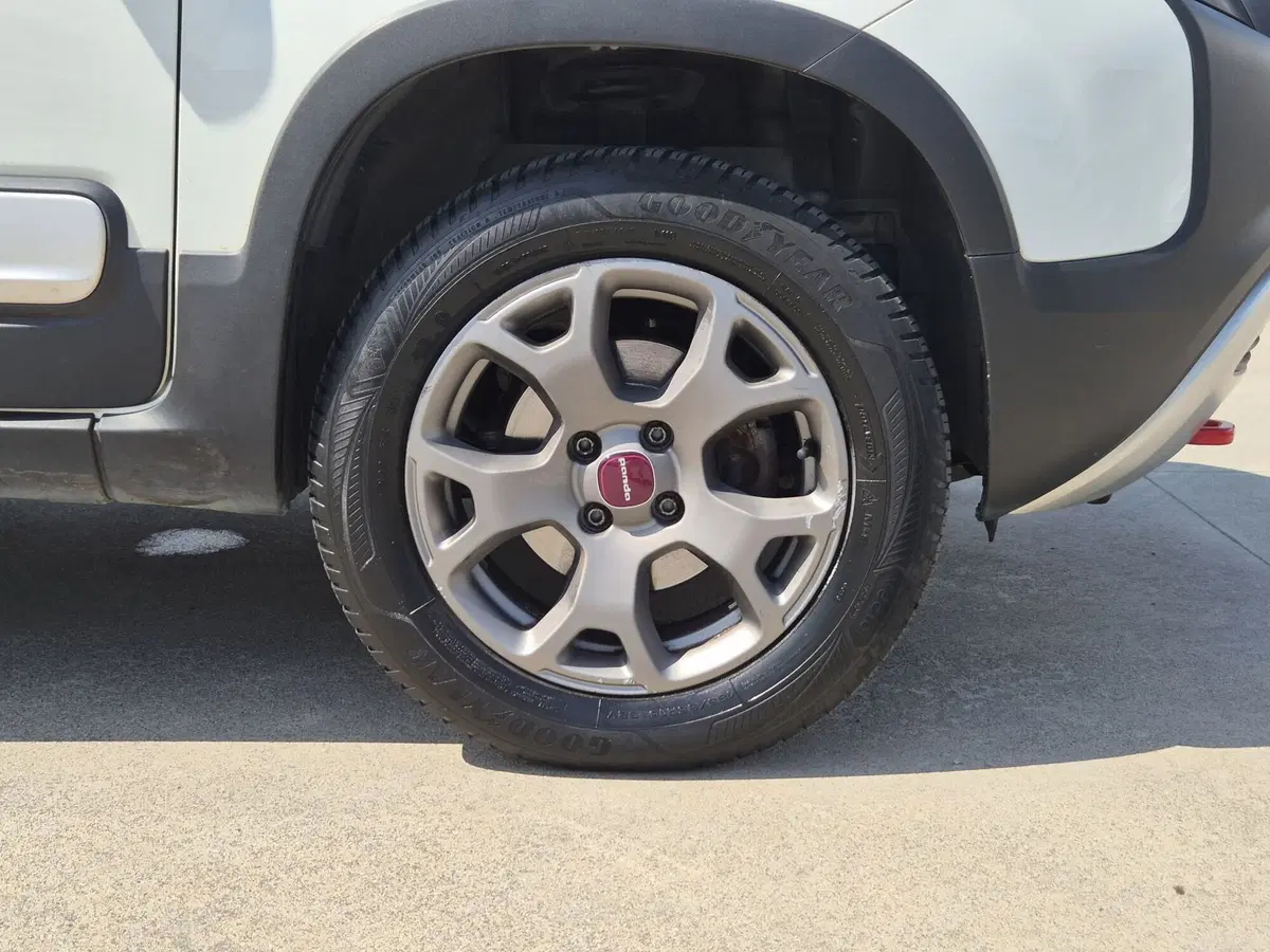 Fiat Panda usata  (12)