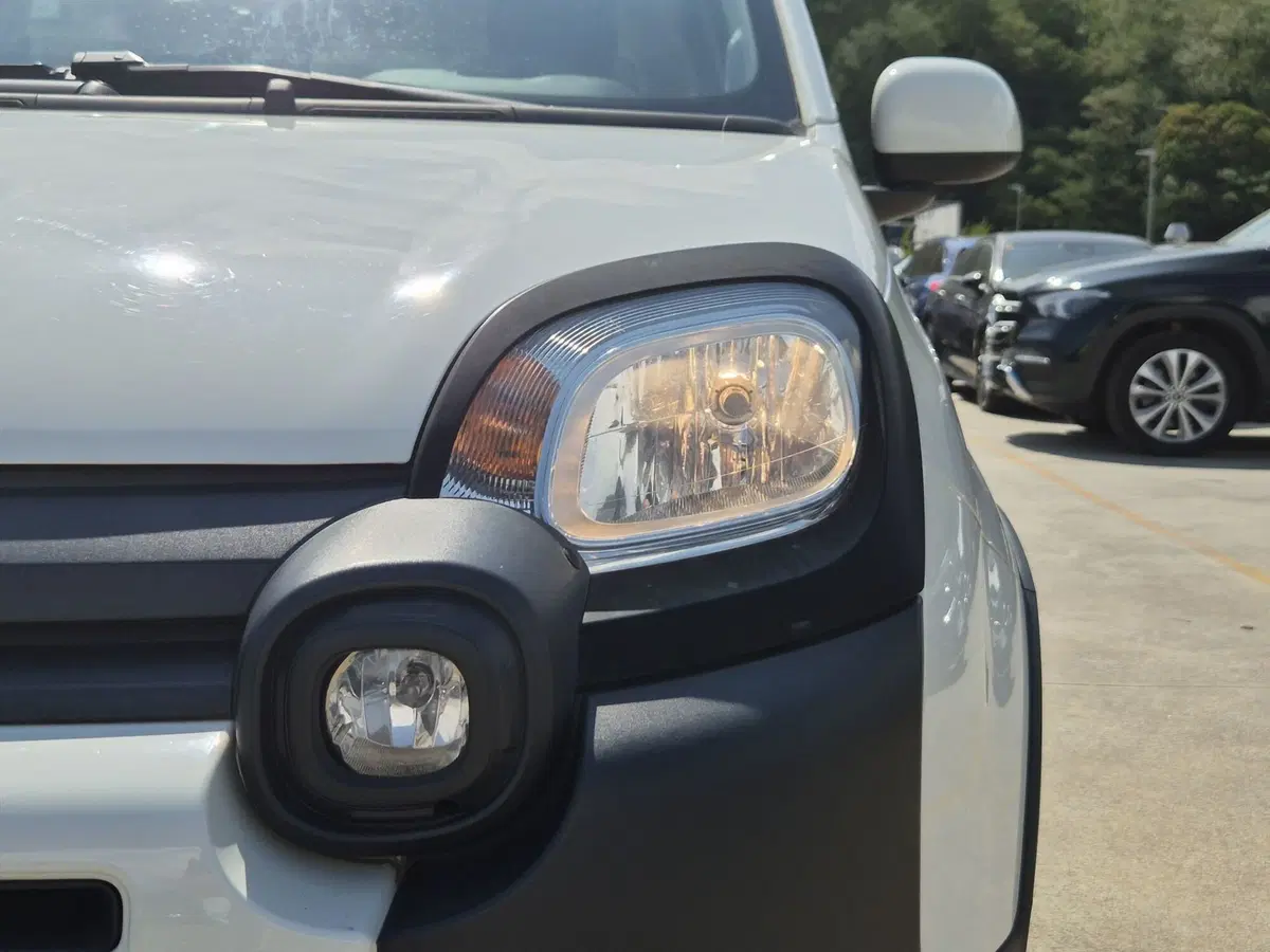 Fiat Panda usata  (14)